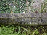 image of grave number 949676